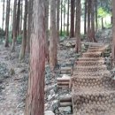 꽃동산어린이공원 체육시설