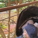 곤지암 펜션 독채 풀빌라 힐스테이 이미지