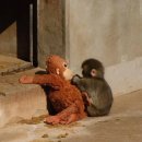 언동로 217번길2 이미지