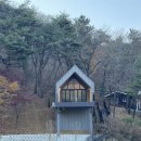 수레의산자연휴양림 이미지