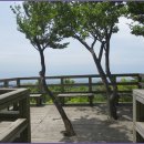 서귀포자연휴양림1 이미지