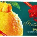 연세미소담은치과 이미지