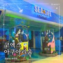 바닷속고기왕국 | 코엑스 아쿠아리움 지도 할인 주차 해양탐험선 스폰지밥 리뉴얼 후기