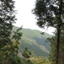 팔영산야영장 이미지