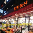 양지농산 네이버블로그