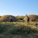 제이와이팜 이미지