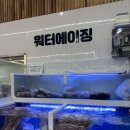 미트클럽스토어 - 유성구 지족동로 176 | 미트클럽스토어