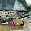 중앙정육한우마을 이미지