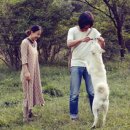 공감민박 이미지