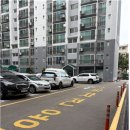 주공아파트 분리수거장 앞 브런치