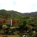 빛나리농원
