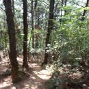 최혼선생묘 이미지