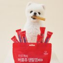 송송펫 | 강아지 덴탈껌추천 | 펫생각 하루치카 버블츄&amp;스틱츄 내돈내산 솔직후기