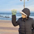 가야산황토마을2 | 2026년 새해 해돋이 1열 직관 포항 일출 캠핑장 추천 : 땅끝황토오토캠핑장