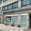 아이본건강