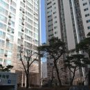 솔파크공인중개사사무소 이미지