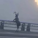 후우 이미지