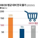 2024년6월19일 수요일 간추린 뉴스 이미지