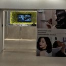 영준 | 에코쟈뎅 코엑스 삼성점에서 오랜만에 받은 열펌 후기 영준 디자이너