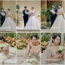 피오라스냅 이미지