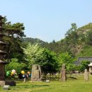 화순재래시장 이미지