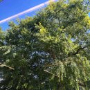 카페산내랑 이미지