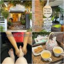 wellness | 치앙마이 여행| 치앙마이 님만해민 마사지샵 후기| DN웰니스 DN wellness massage 내돈내산 솔직후기
