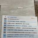 힐링운동샵 | 세종 더힐링 마사지샵 후기｜90분 순삭, 몸이 녹아내렸던 스톤마사지