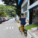 매월2로15번길L | [bb5 사우스 죽전점] 브롬톤 G라인 포레스트 그린 구매 후기
