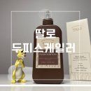 두피스케일링 홈케어에 딱 좋은 딸로맥주효모두피스케일러 솔직후기