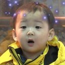 목포과일모찌 이미지