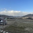 하빛율빠꿈사리 이미지