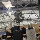 가은언니마켓 | In Shanghai(1)🇨🇳 (난징동루, 와이탄, 라이라이샤오롱🥟, 홍쿠이지아🦞)