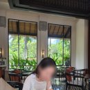 발리 아야나 리조트 액티비티 놀거리 추천, 사운드 힐링 &amp; 탈라소테라피 풀 후기