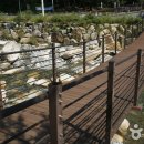 달빛 계곡 캠핑장 이미지