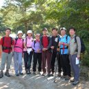 원시로1 이미지