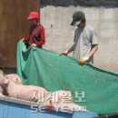 박찬준농장 이미지