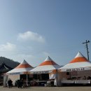 탄금호순환자전거길 8 | 2026 청산도 슬로걷기 축제 유채꽃 개화 상황 방문 후기