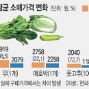 금채 이미지
