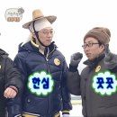 멜로드도산