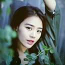 남지지 이미지