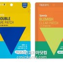 트루다이브 코리아 네이버블로그