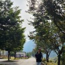 방림면사무소 이미지