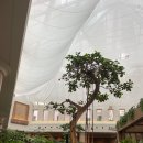 이케이앤 이미지