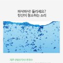포어올데이 네이버블로그