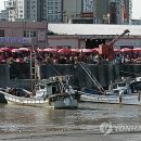 소래포구 - 평택시 여술3길 17-11 | 소래포구