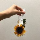 드라이플라워 보관 _석고방향제 만들기