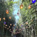 달빛제빵소 | 여행 담양 제25회 대나무 축제 죽녹원 영산강 문화공원 플라타너스 별빛 달빛 길 글 / 사진 / 오로지 ©
