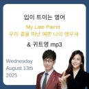 LOVE MY PET 동물병원 | 2025년 8월 13일 EBS입트영(귀트영) My Late Parrot 우리 곁을 떠난 예쁜 나의 앵무새
