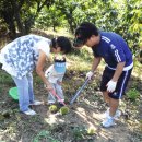 엄정마을회관 이미지